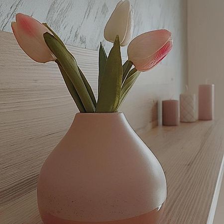 Sunray Apartman Požarevac Exteriör bild